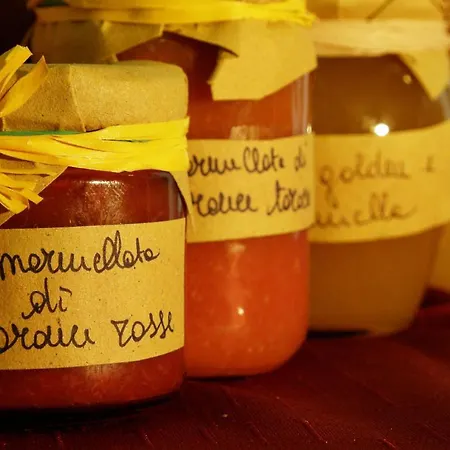 호텔 Stefan & Breakfast 가테오 아 마레