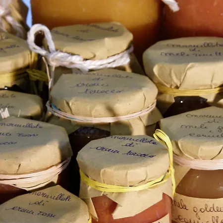 Stefan & Breakfast 호텔 3*