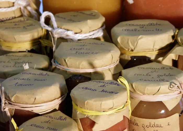 Stefan & Breakfast Hotel 3*